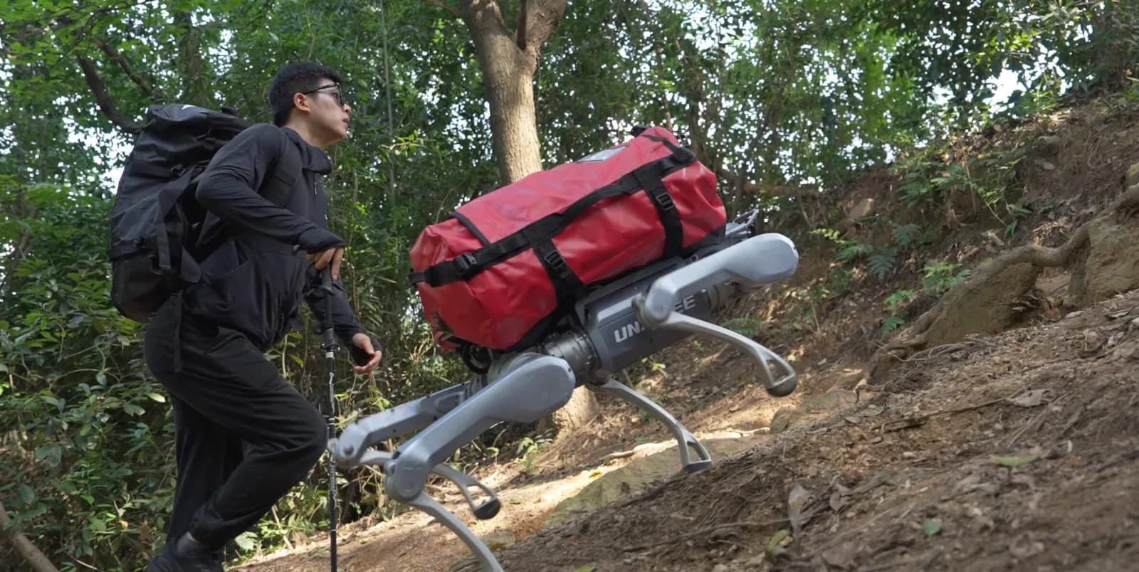 Ormanlık arazide yük taşıyan Unitree A2 robot köpek
