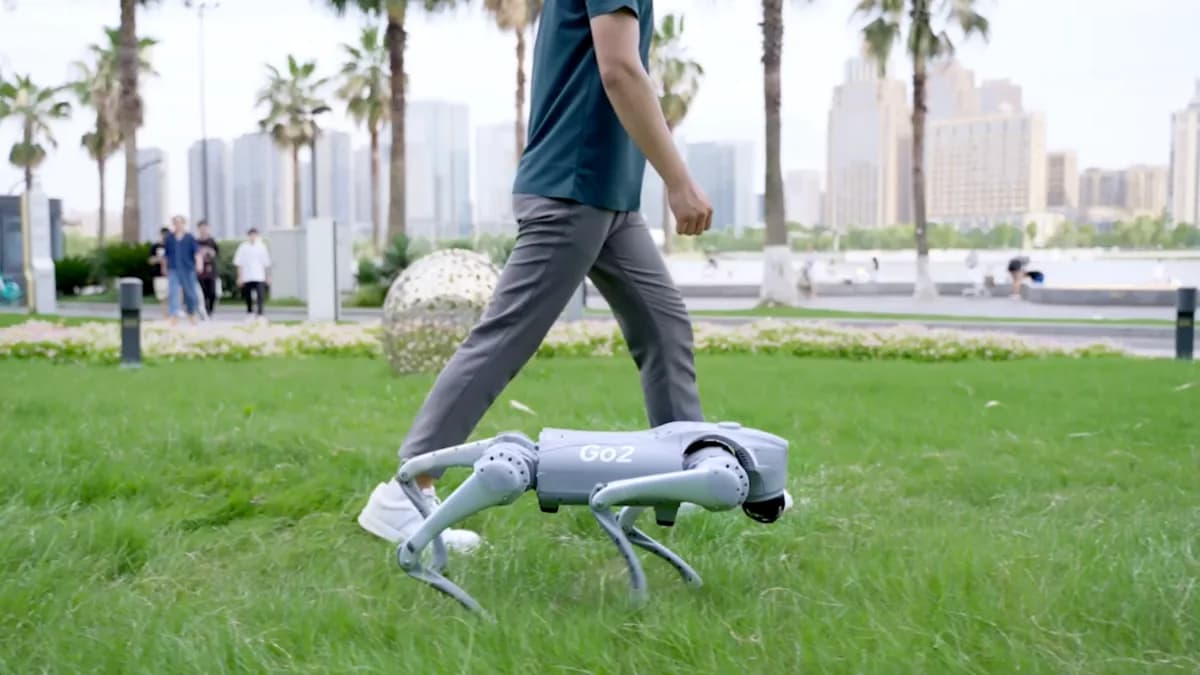 Parkta sahibiyle yürüyen Unitree Go2 robot köpek