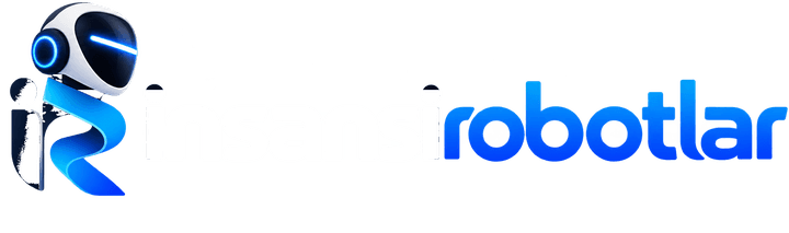insansirobotlar